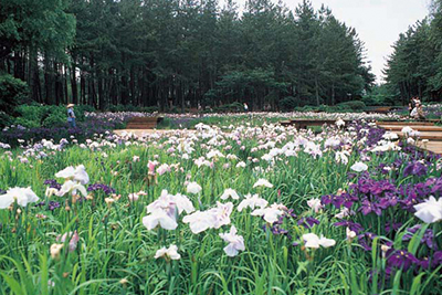 三国町海浜自然公園